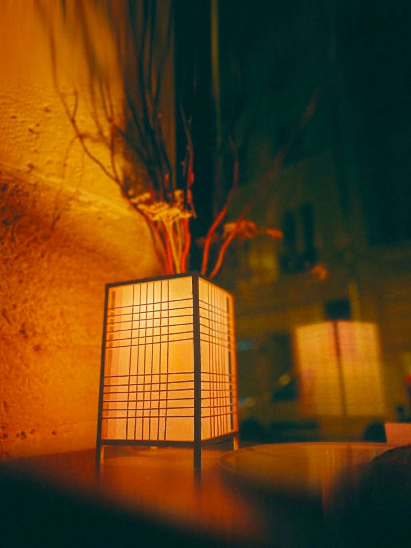 Lanterne japonaise et branche d'Ilô